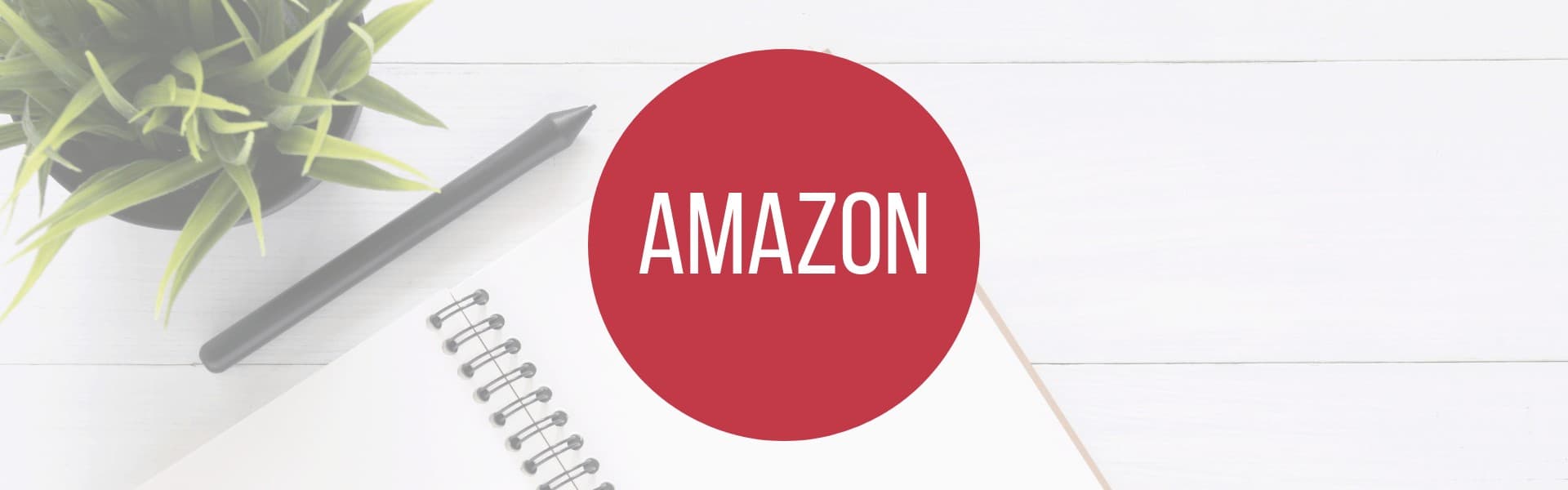 Amazon » Fachbegriffe verständlich » medienkraft.at
