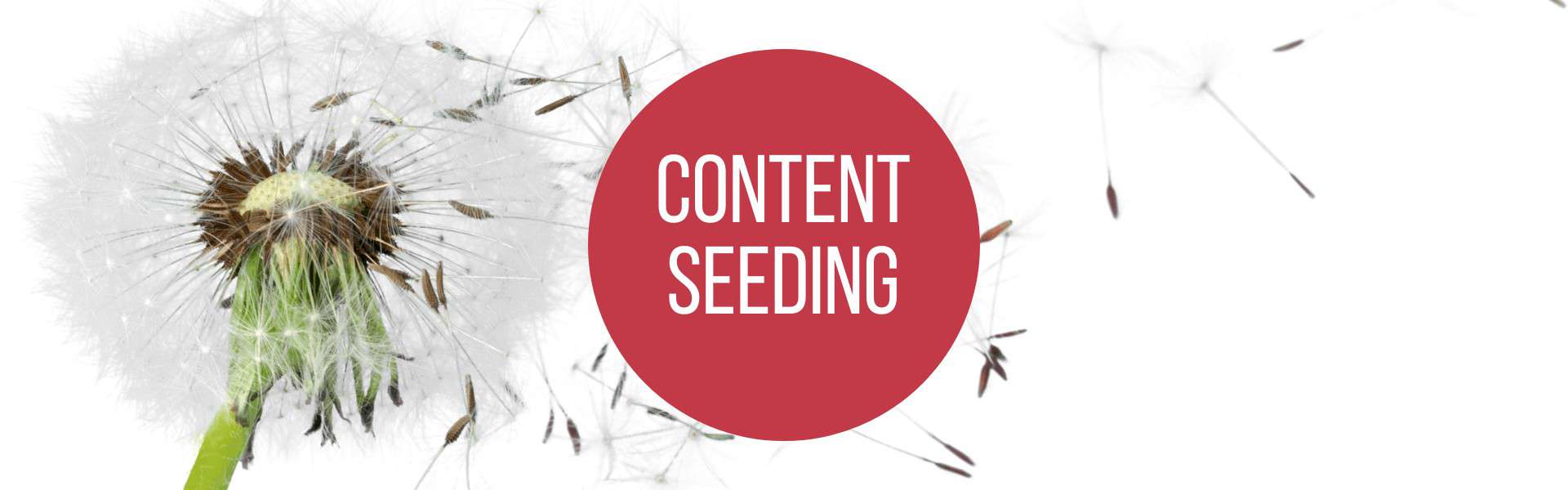 Davonfliegende Löwenzahnpollen als Sinnbild für Content Seeding