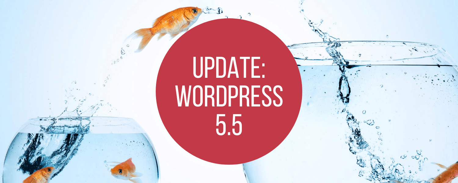 WordPress 5.5 Update Eckstine_Herobild